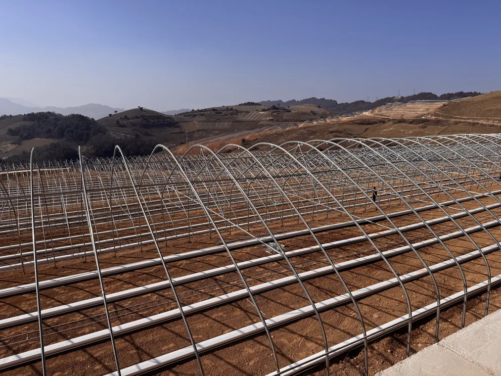 Greenhouse construction project frame and support system