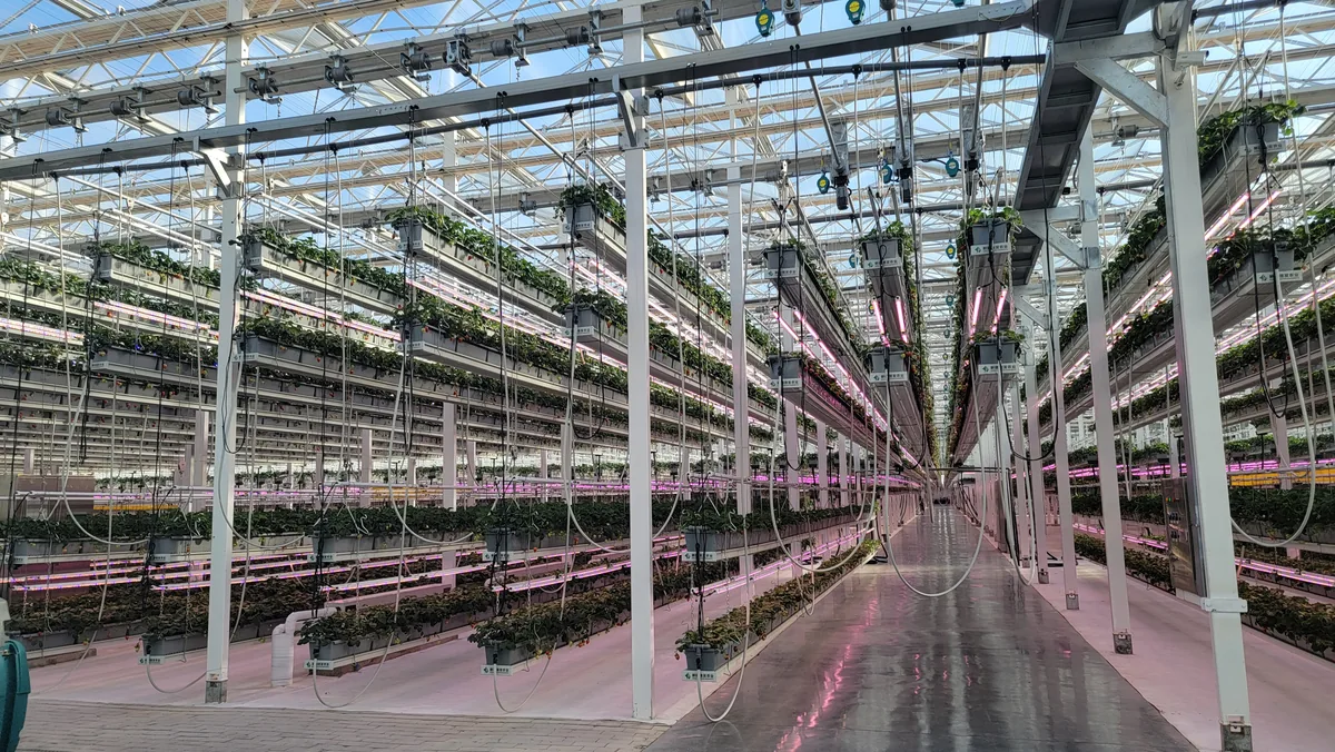 Vertical greenhouse crop support system