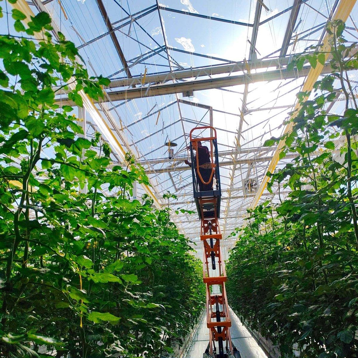 Sulfur evaporator for greenhouse crop protection support