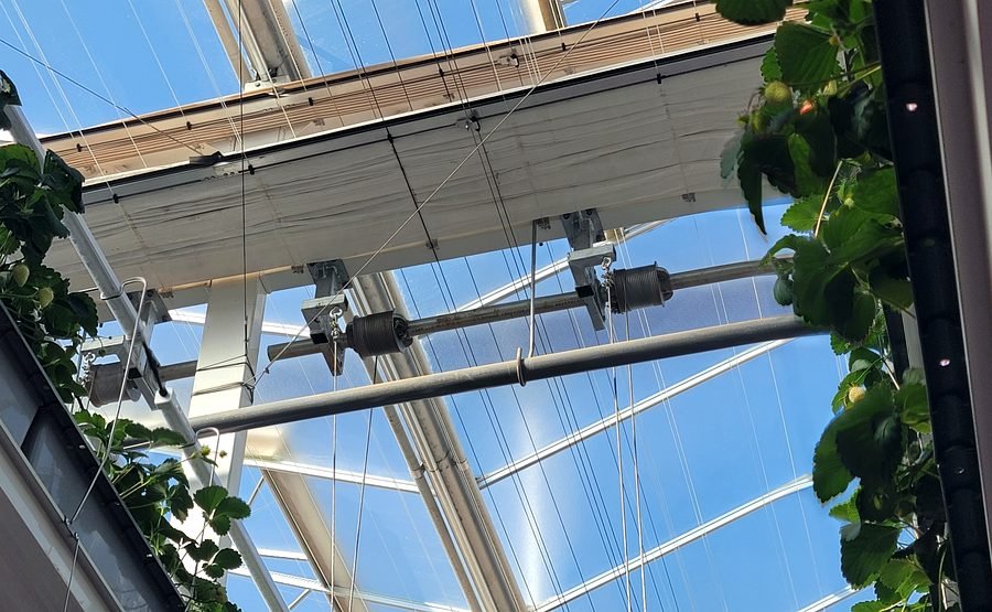 Hydroponic growing system and seedling production