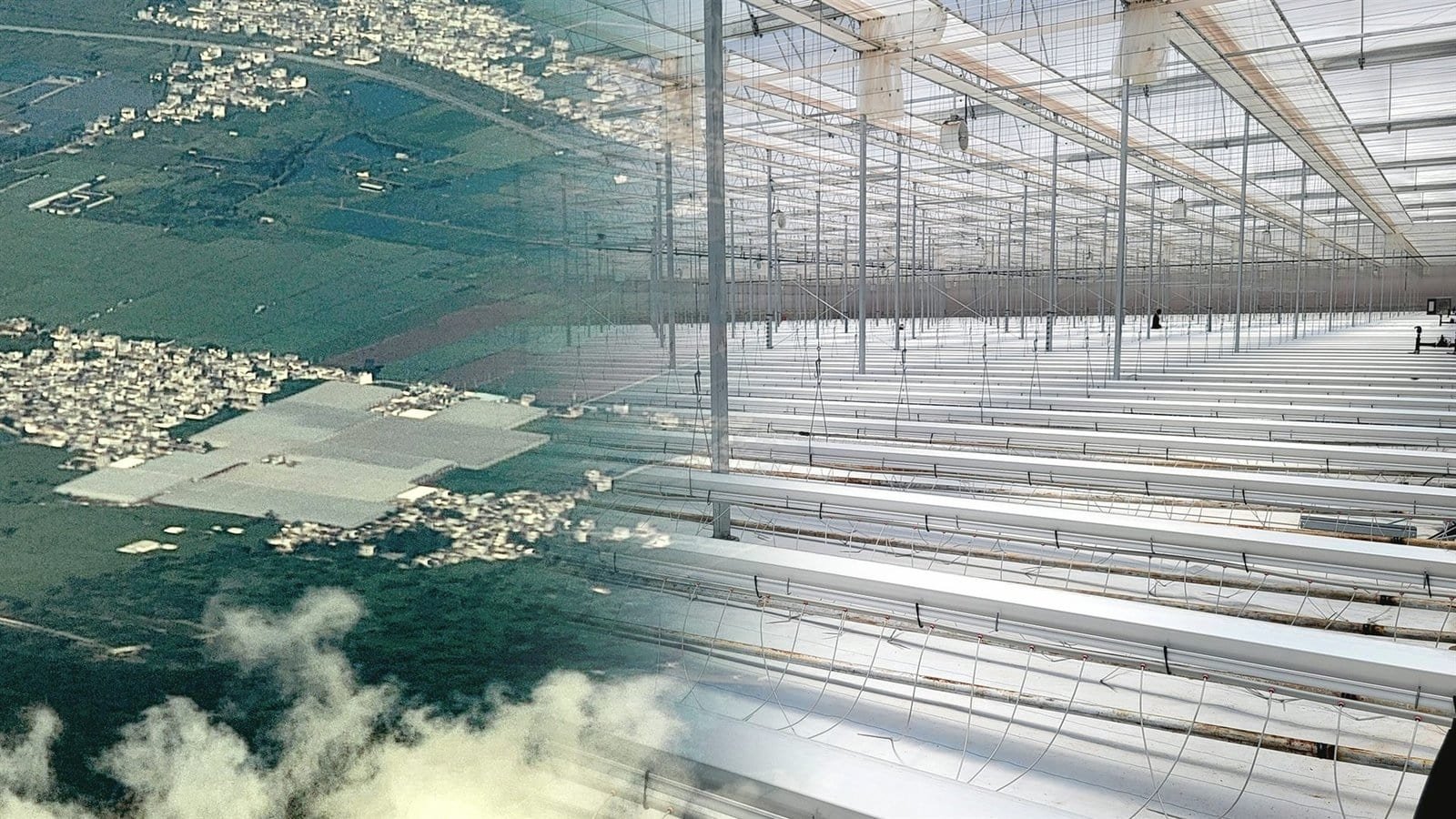 Grow gutter system installed in a greenhouse