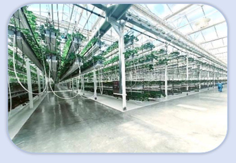 Multi-level growing system in a controlled environment