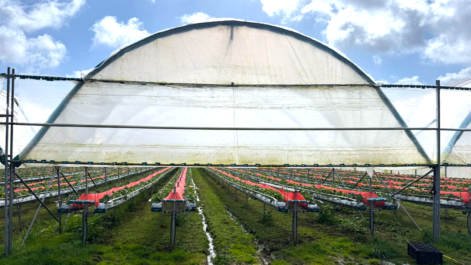 Greenhouse project installation and crop layout communication